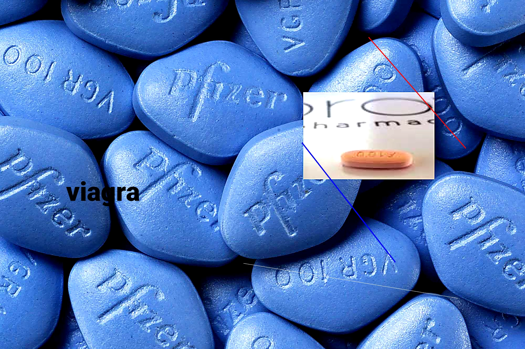 Viagra non générique